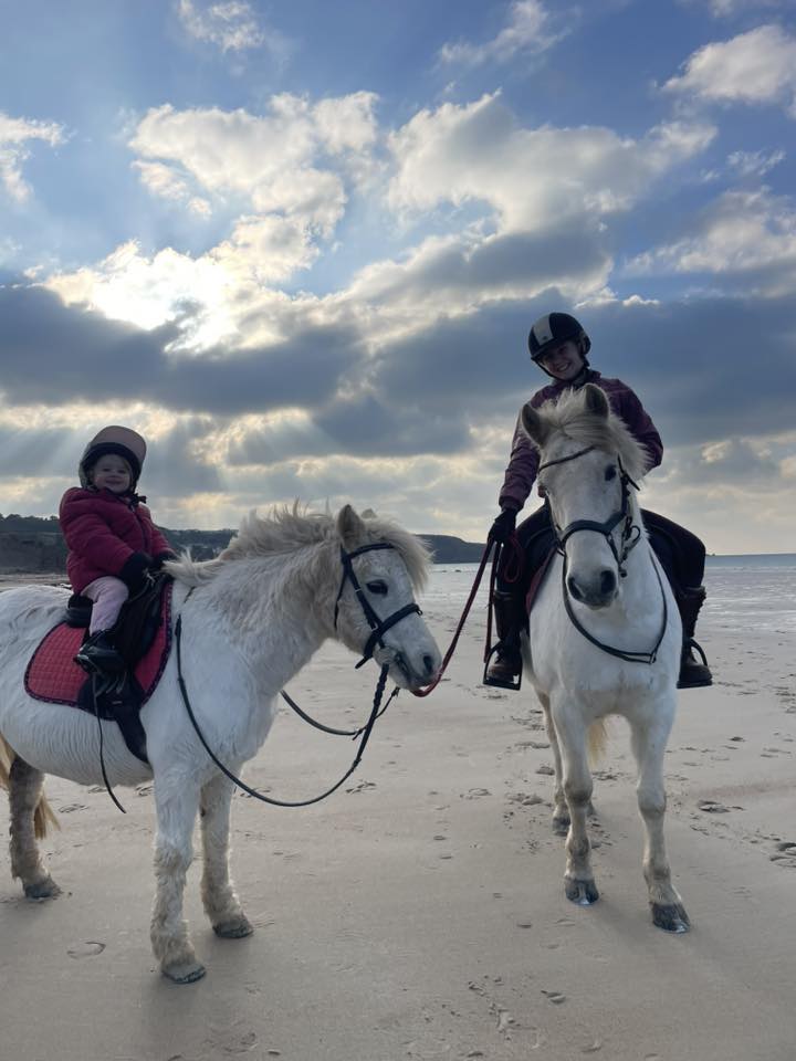 Homeland Equestrian