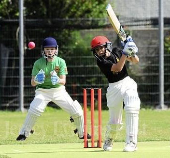 Jersey Cricket
