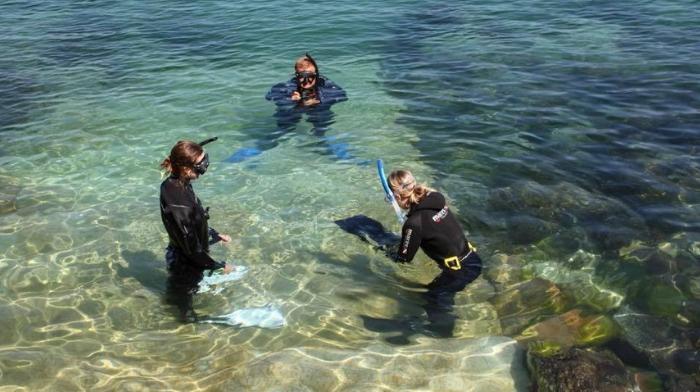 bouley bay dive