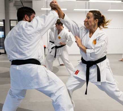 Jersey Shotokan Karat