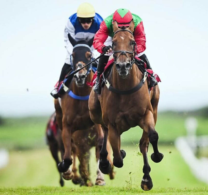The Jersey Race Club