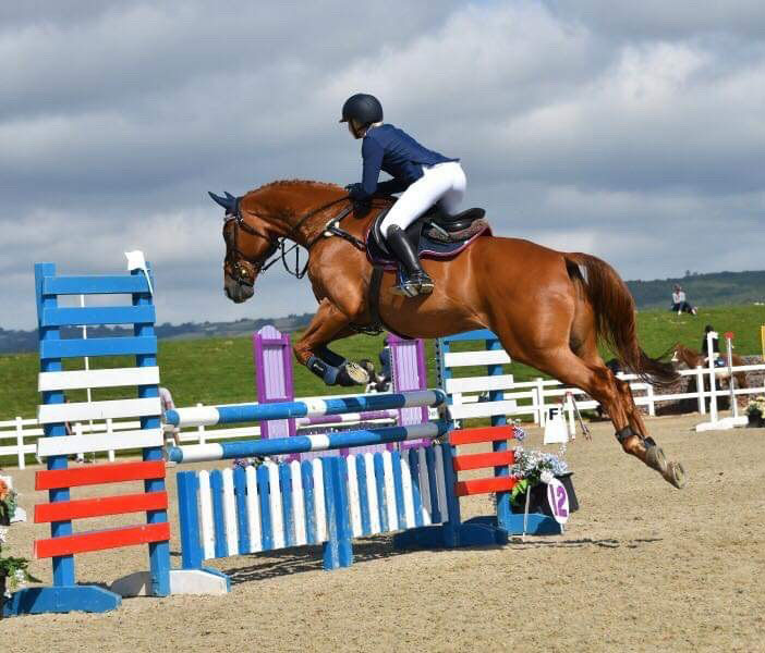 British Show Jumping Association Jersey (BSJA)